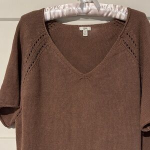 J. Jill Cocoa V-Neck Sweater